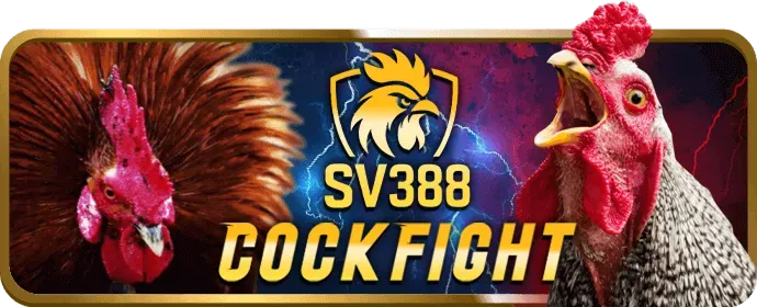 Đa dạng trò chơi Bet678